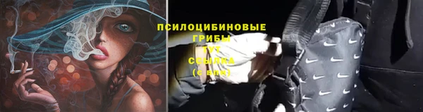 эйфоретик Армянск